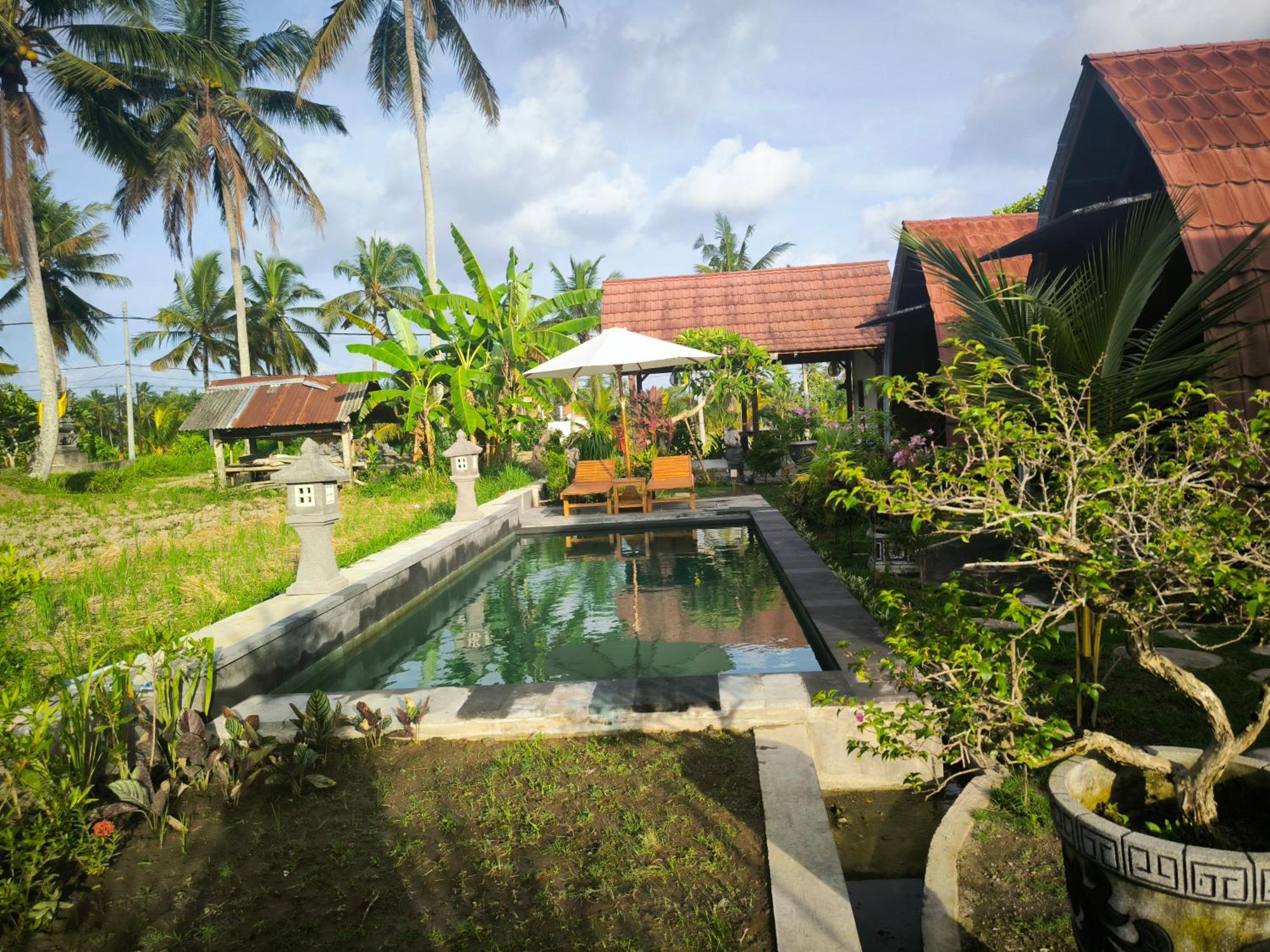 Eling Ubud Guesthouse Zewnętrze zdjęcie