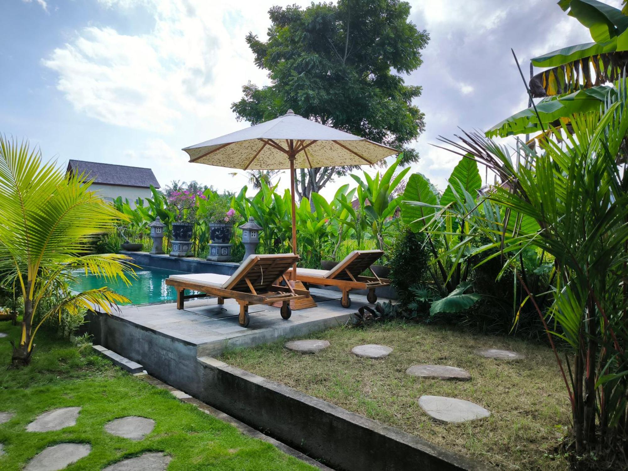 Eling Ubud Guesthouse Zewnętrze zdjęcie